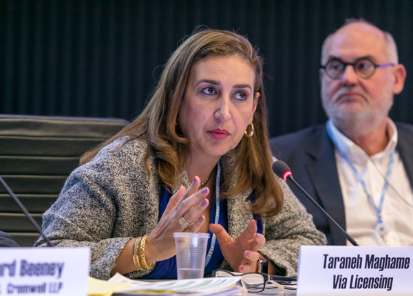 Taraneh Maghamé Speaks at NGMN 2019